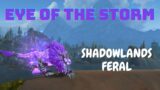Shadowlands Feral Druid | Eye of the Storm | Battlegrounds PvP | (Pre Patch)