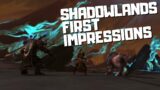 Shadowlands First Impressions, Is this a step in the right direction?