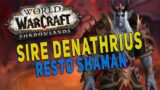 Shadowlands Heroic Sire Denathrius – RESTO SHAMAN Raid Gameplay | Castle Nathria – WoW