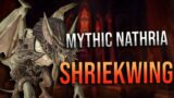 Shadowlands – Mythic Castle Nathria Shriekwing Kill! Rank 3 Affliction Warlock POV!