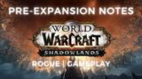 Shadowlands Pre-Expansion Patch | Rogue Leveling | Live Gameplay
