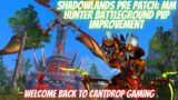 Shadowlands Pre Patch MM Hunter: Battleground PVP Improvement #1