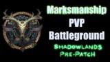 Shadowlands Pre Patch Marksmanship Hunter PVP Battlegrounds # 7
