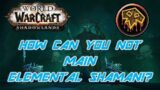 Shadowlands Should You Main Elemental Shaman!?