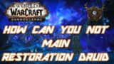 Shadowlands Should You Main Restoration Druid!?