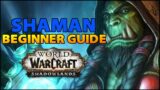 Shaman Beginner Guide | Overview & Builds for ALL Specs (WoW Shadowlands)