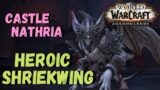 Shriekwing Heroic | Castle Nathria | WoW Raid Rogue POV | SHADOWLANDS