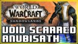 Void-Scarred Anubisath Pet Battle PvP! World of Warcraft Shadowlands Competitive Battle Pet Battles!