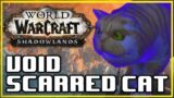 Void Scarred Cat! Pet Battle PvP! World of Warcraft Shadowlands Competitive Battle Pet Battles!