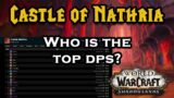 WHAT IS THE BEST DPS CLASS FOR CASTLE OF NATHRIA IN WORLD OF WARCRAFT SHADOWLANDS