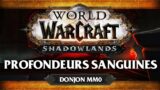 WoW Shadowlands #20 : Profondeurs Sanguines MM0 (ft. Lapi, Gius, Kenny et Flora)