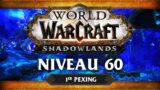 WoW Shadowlands #9 : NIVEAU 60 ! (ft. Lapi, Gius, Kenny et Flora)