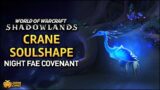 WoW: Shadowlands – Crane Soulshape