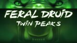 WoW Shadowlands Feral Druid PvP: Twin Peaks | Vaeyn 300
