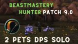 WoW Shadowlands Patch 9.0 Beastmastery BM Hunter Only 2 Pets DPS Solo