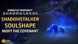 WoW: Shadowlands – Shadowstalker Soulshape