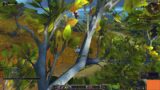 World Of Warcraft  Shadowlands on nVidia GTX 1070 8gb & intel i7 2600k