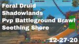 World of Warcraft Shadowlands Feral Druid Pvp Battleground Brawl, Seething Shore, 12-27-20
