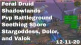 World of Warcraft Shadowlands Feral Druid Pvp Battleground, Seething Shore, 12-11-20