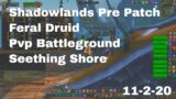 World of Warcraft Shadowlands Pre Patch Feral Druid Pvp Battleground, Seething Shore, 11-2-20