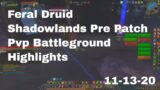 World of Warcraft Shadowlands Pre Patch Feral Pvp Battleground Highlights, 11-13-20