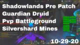World of Warcraft Shadowlands Pre Patch Guardian Druid Pvp Battleground, Silvershard Mines, 10-29-20