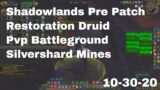 World of Warcraft Shadowlands Pre Patch Restoration Druid Pvp Battleground, Silvershard Mines