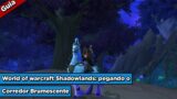 World of warcraft Shadowlands guia: corredor brumescente