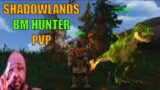 " Making Friends "  SHADOWLANDS Hunter WPVP Adventures
