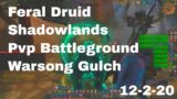 World of Warcraft Shadowlands Feral Druid Pvp Battleground, Warsong Gulch, 12-2-20