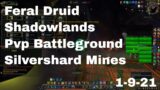 World of Warcraft Shadowlands Feral Druid Pvp Battleground, Silvershard Mines, 1-9-21