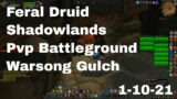 World of Warcraft Shadowlands Feral Druid Pvp Battleground, Warsong Gulch, 1-10-21
