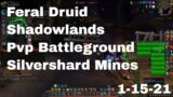 World of Warcraft Shadowlands Feral Druid Pvp Battleground, Silvershard Mines, 1-15-21