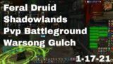 World of Warcraft Shadowlands Feral Druid Pvp Battleground, Warsong Gulch, 1-17-21