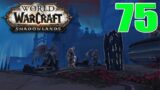 Let's Play: World of Warcraft Shadowlands | Hunter Leveling | EP. 75 | Accuser Captured