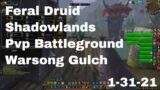World of Warcraft Shadowlands Feral Druid Pvp Battleground, Warsong Gulch, 1-31-21