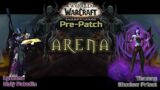 2V2 Arena | Holy Pala & Shadow Priest | Shadowlands Prepatch | Part 3