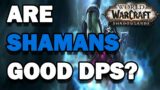 ARE ENHANCEMENT AND ELEMENTAL SHAMANS GOOD DPS IN THE SHADOWLANDS? WORLD OF WARCRAFT
