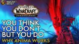 Anima – We Asked For This! WoW Shadowlands Warcraft Weekly