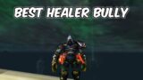 BEST HEALER BULLY – Subtlety Rogue PvP – WoW Shadowlands 9.0.2
