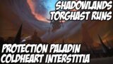 COLDHEART INTERSTITIA | World of Warcraft: Shadowlands | Torghast Layer Eight | Protection Paladin