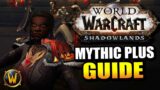 Discipline Priest Shadowlands Mythic+ GUIDE! // World of Warcraft: Shadowlands