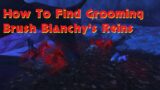 How To Get Grooming Brush Blanchy's Reins Mount  Shadowlands