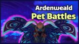 How to Ardenweald Pet Battle World Quests – World of Warcraft Shadowlands