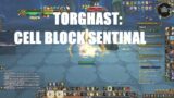 How to Beat Cellblock Sentinal in Torghast – World of Warcraft: Shadowlands