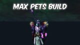 MAX PETS BUILD – Unholy Death Knight PvP – WoW Shadowlands 9.0.2