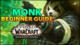 Monk Beginner Guide | Overview & Builds for ALL Specs (WoW Shadowlands)