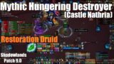 Mythic Hungering Destroyer! – Restoration Druid PoV – Castle Nathria – World of Warcraft Shadowlands