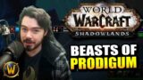 NEW Torghast Event: The Beasts of… DISAPPOINTMENT? // World of Warcraft: Shadowlands