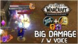 SP + Ret Pala BIG DAMAGE Fun /w Voice | Arena PvP WoW Shadowlands
